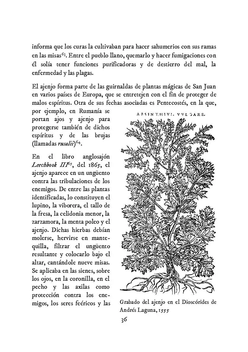 PDF Herbarium Veneficii Artemisa y Ajenjo para brujería