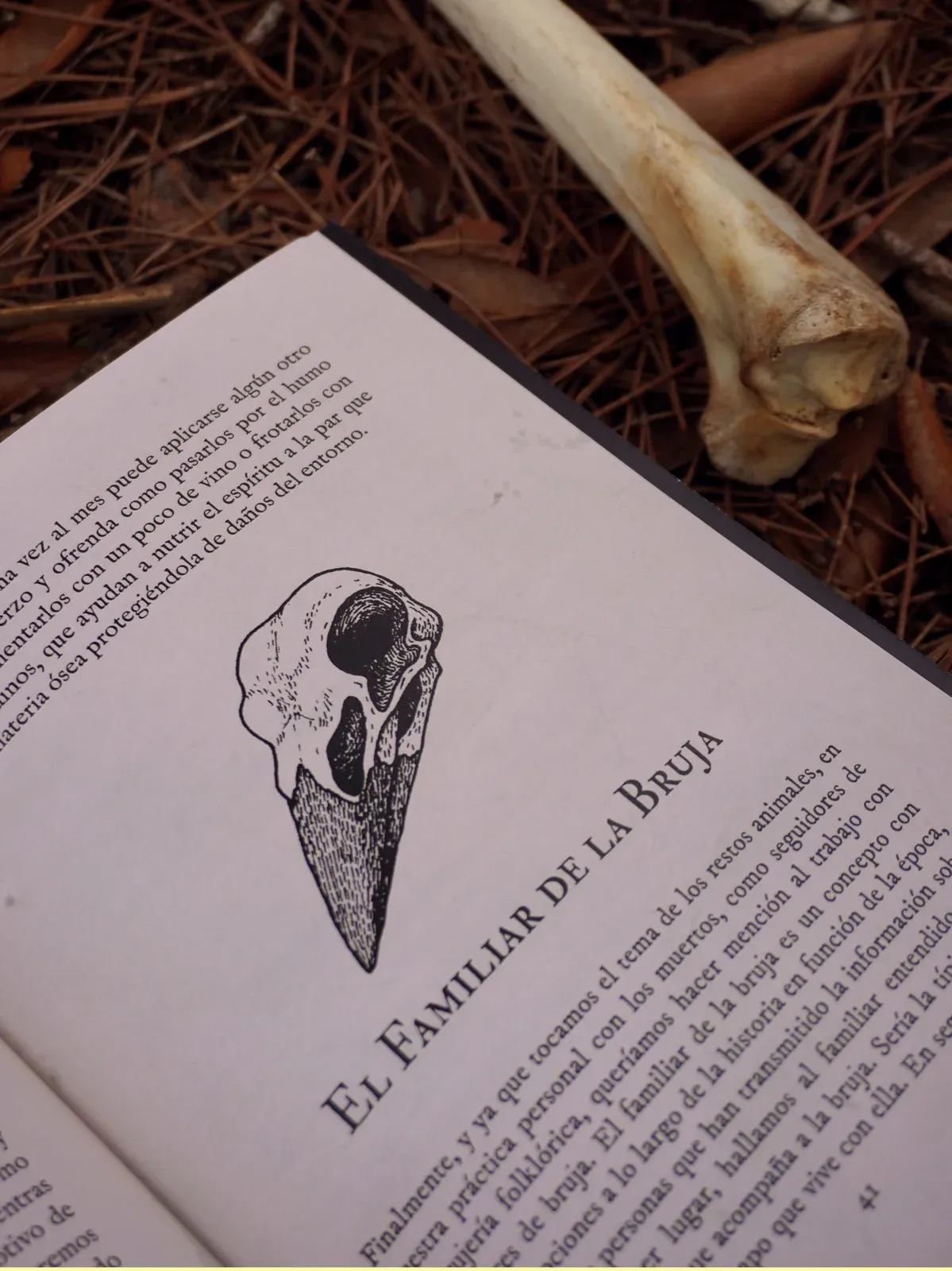 Libro Nocturna culto a ancestros y necromancia