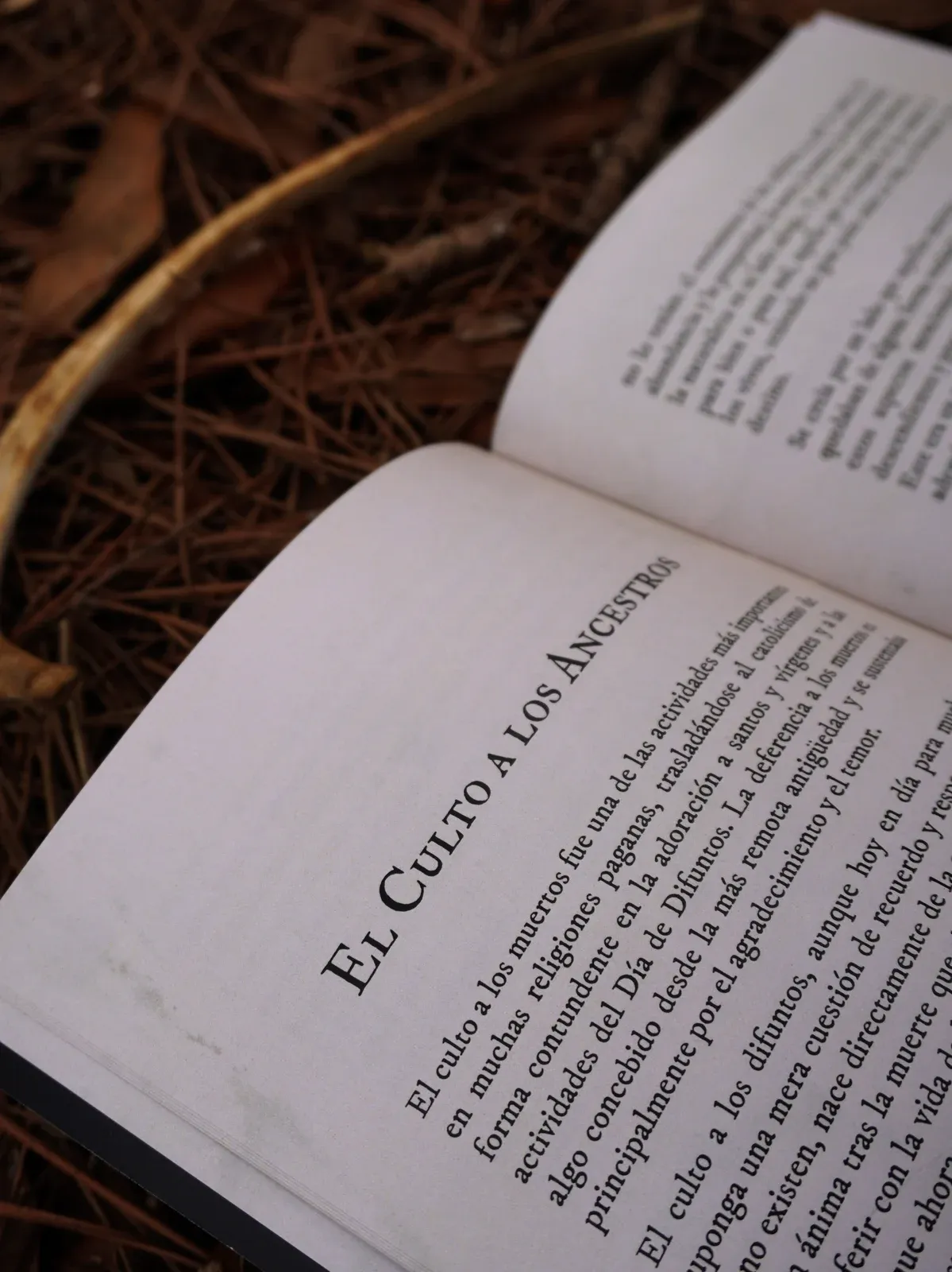 Libro Nocturna culto a ancestros y necromancia