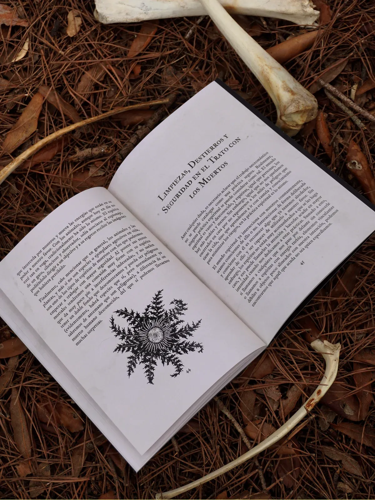 Libro Nocturna culto a ancestros y necromancia