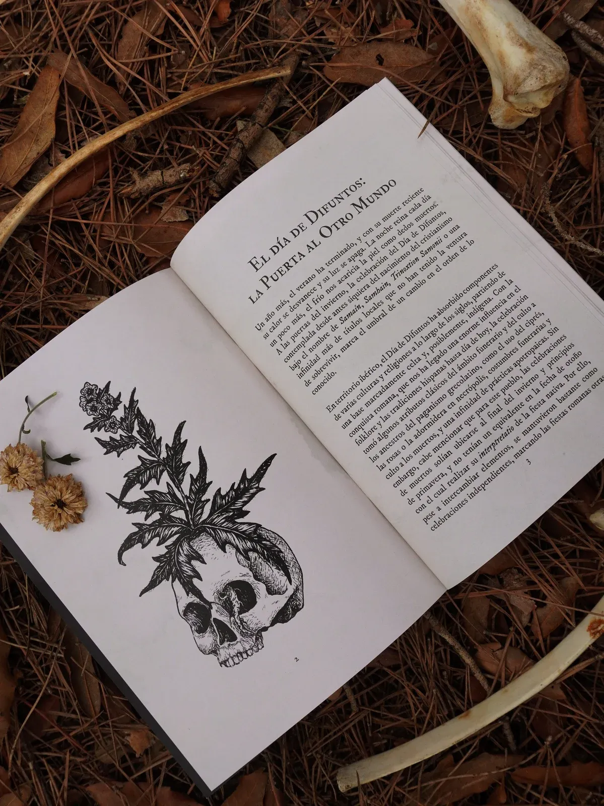 Libro Nocturna culto a ancestros y necromancia