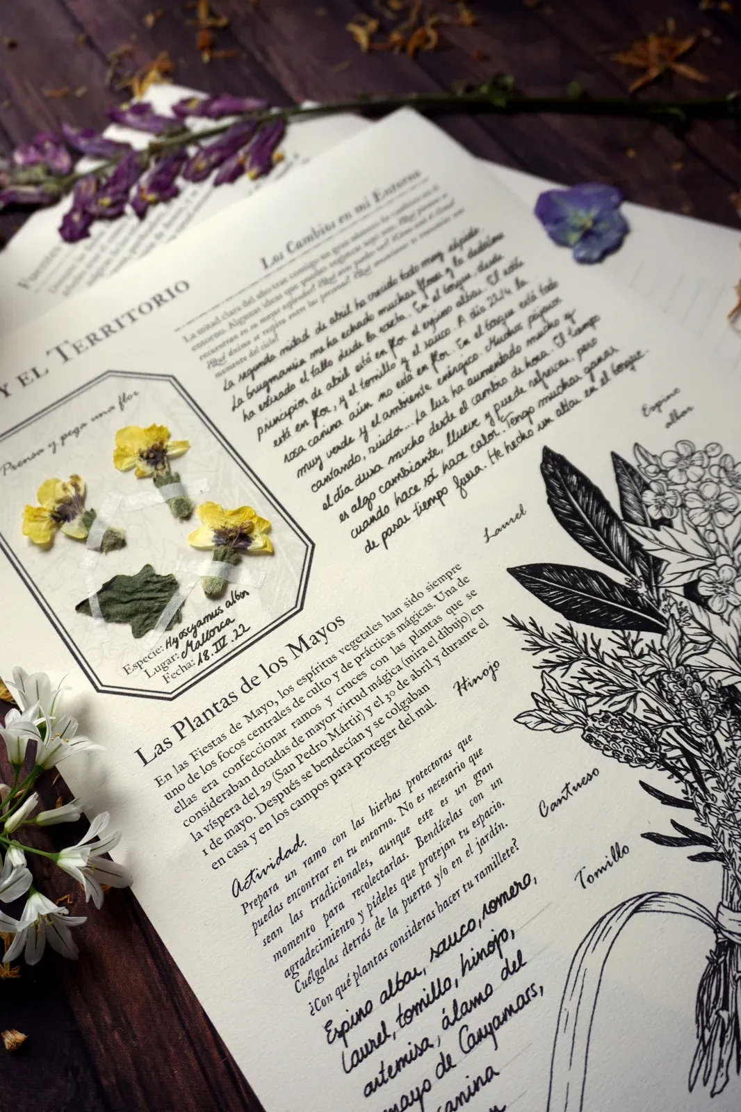Láminas Journaling Mayo para reflexión mágica
