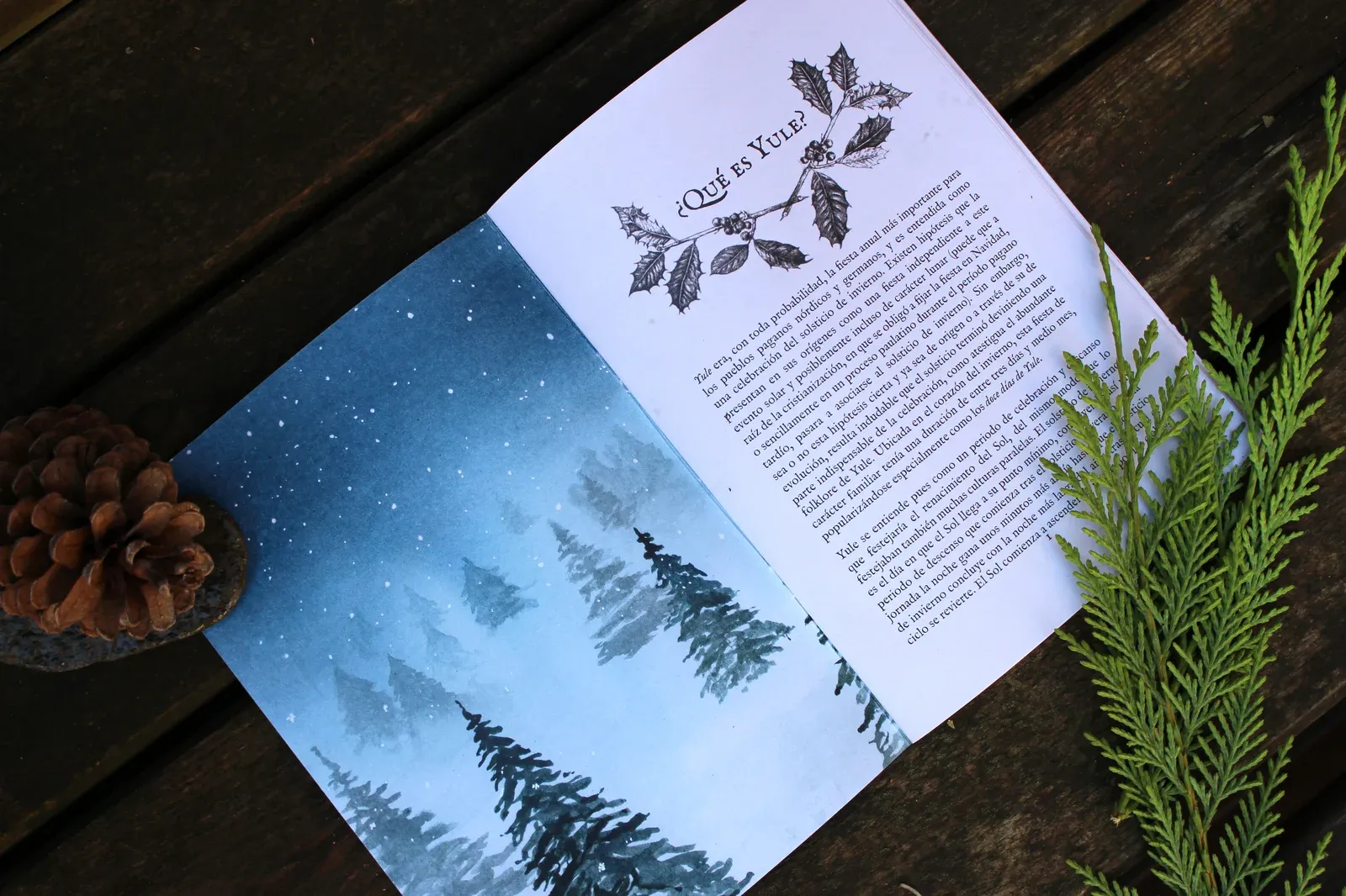 Libro Yule Vol. II rituales para solsticio de invierno