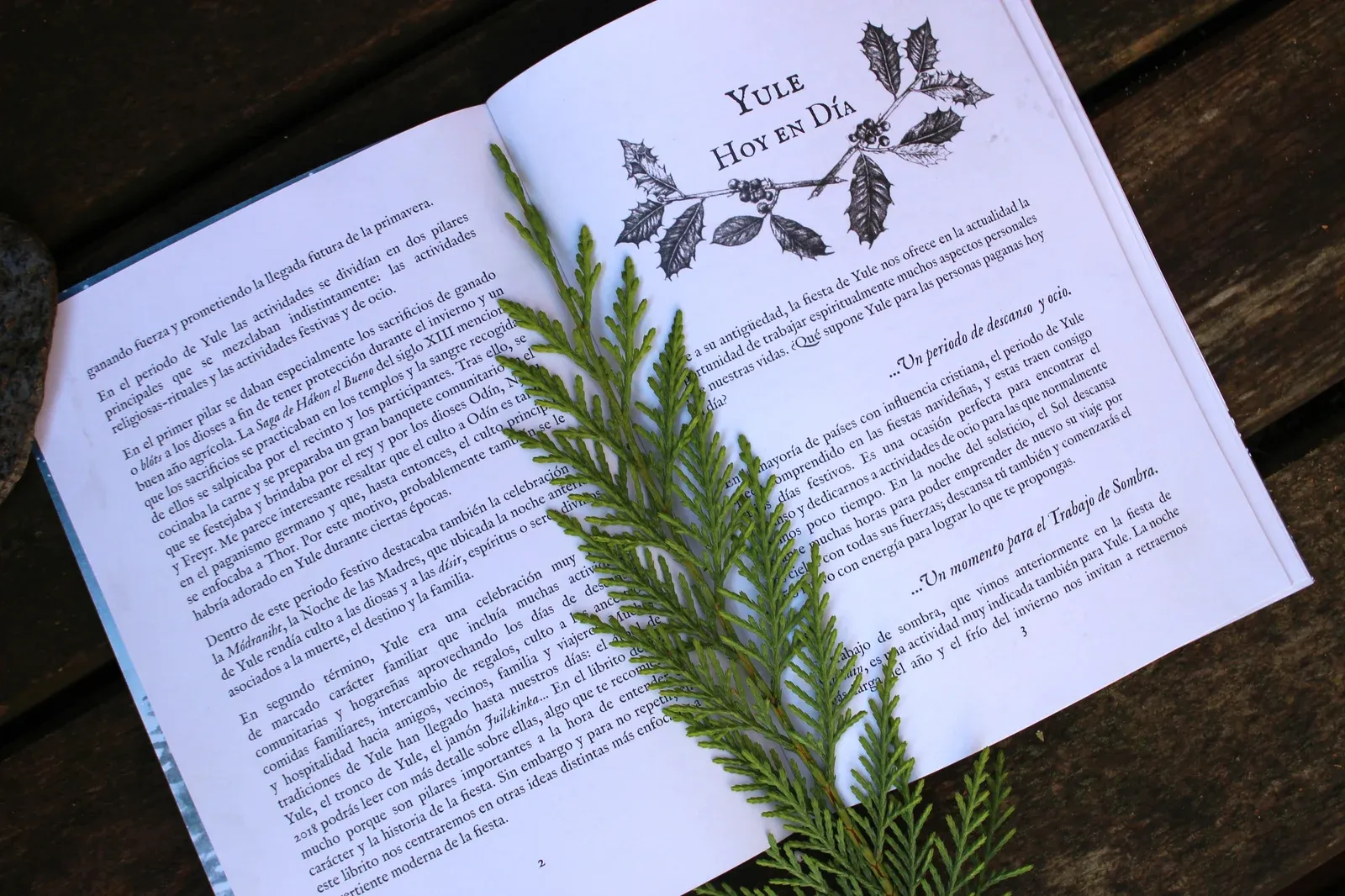 Libro Yule Vol. II rituales para solsticio de invierno